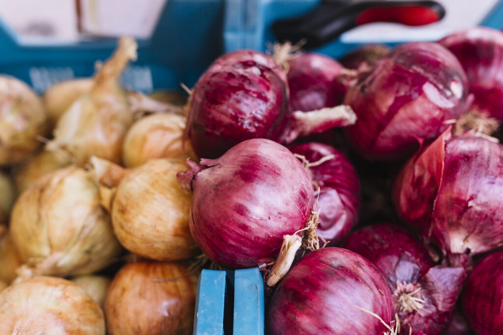 different type onions copie different type onions copie