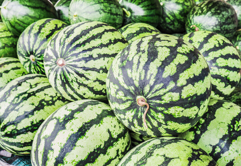 fresh watermelons. fresh watermelons.